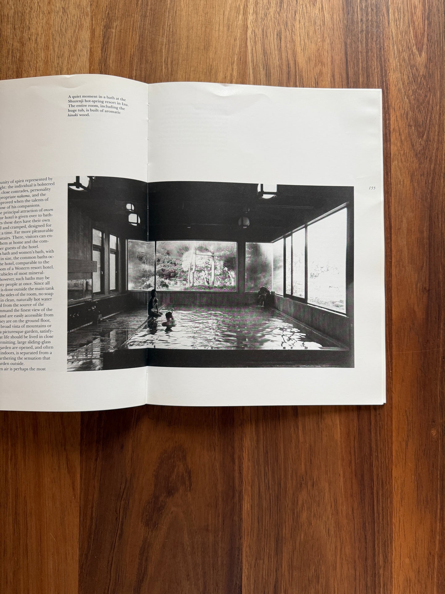 Pleasures of the Japanese Bath