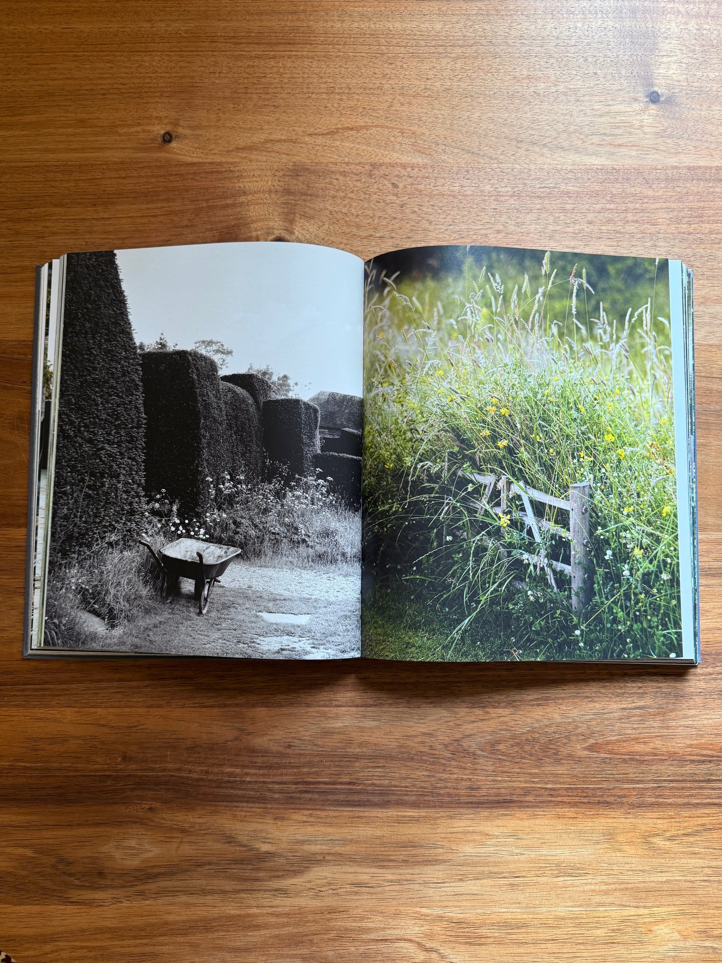 Luciano Giubbilei: The Art of Making Gardens