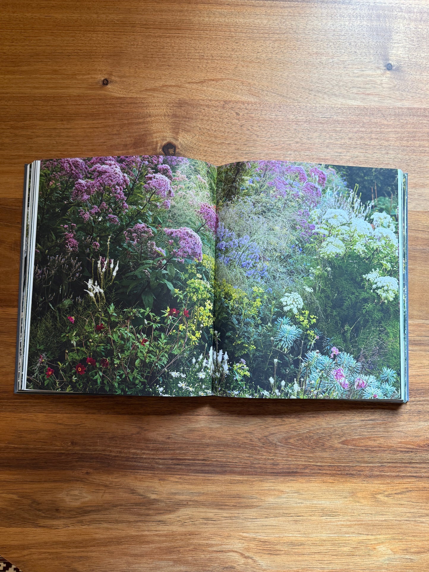 Luciano Giubbilei: The Art of Making Gardens