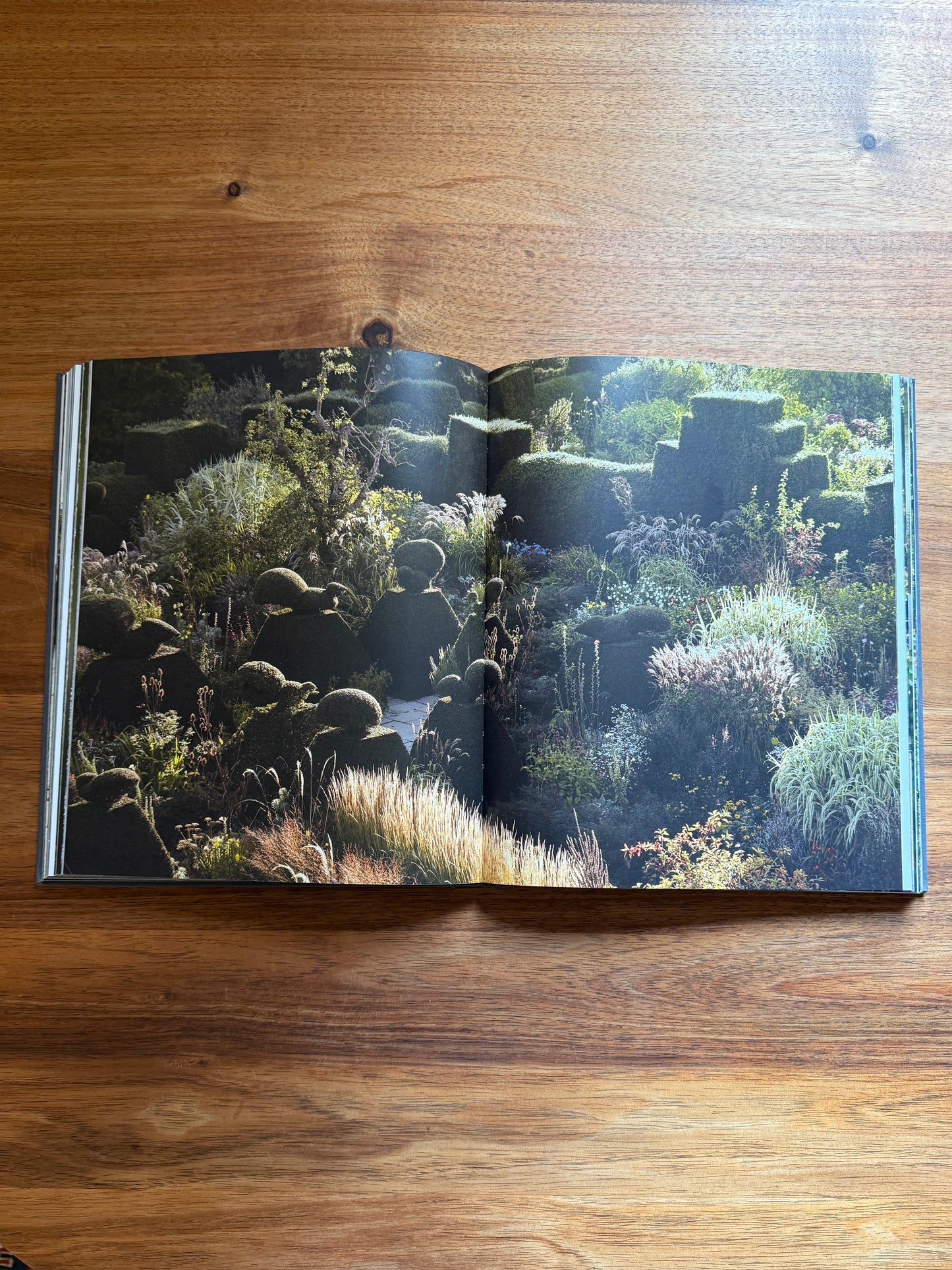 Luciano Giubbilei: The Art of Making Gardens