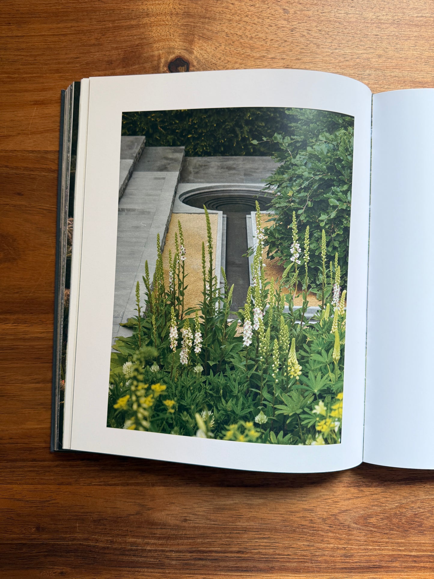 Luciano Giubbilei: The Art of Making Gardens