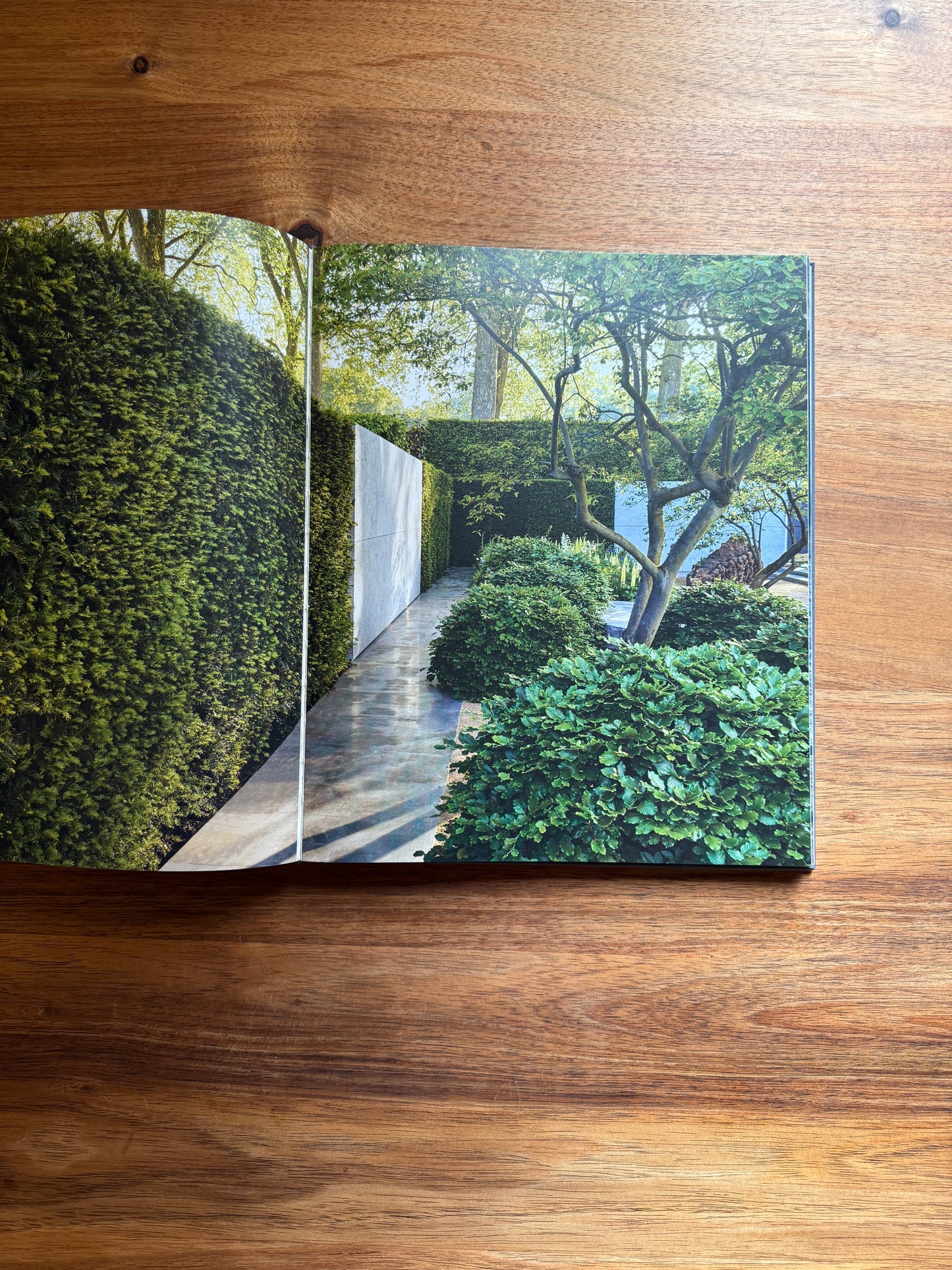 Luciano Giubbilei: The Art of Making Gardens