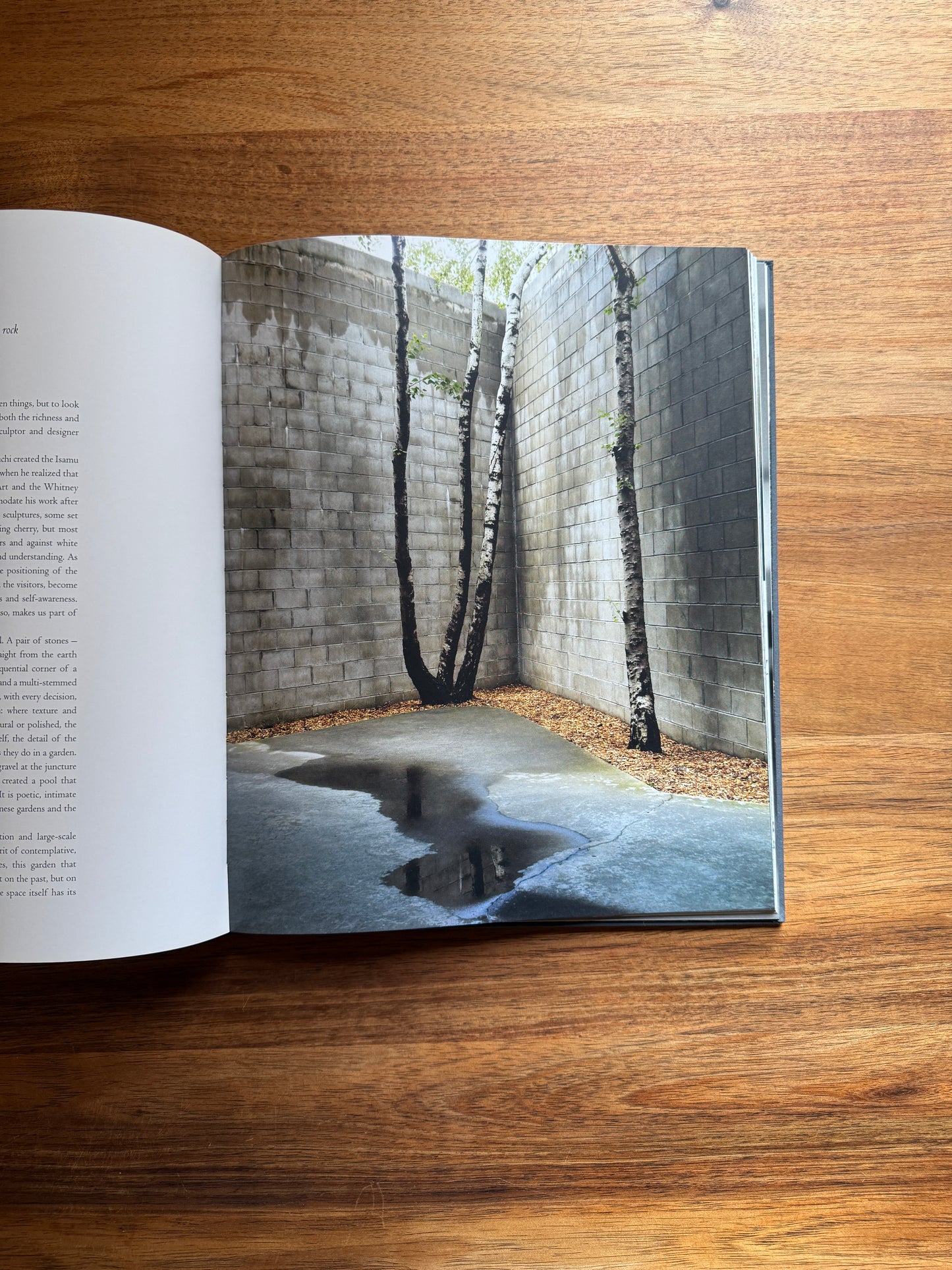 Luciano Giubbilei: The Art of Making Gardens