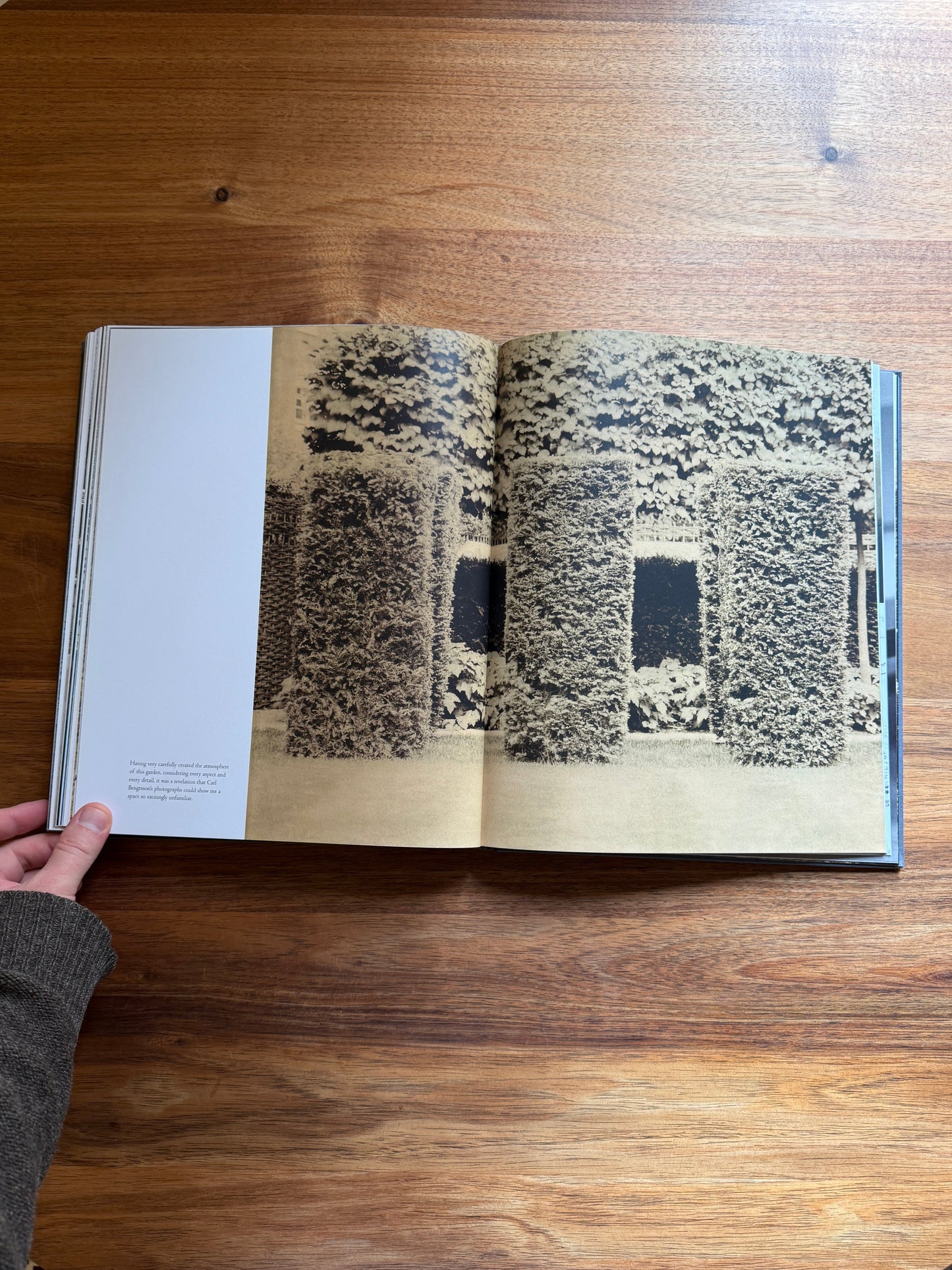 Luciano Giubbilei: The Art of Making Gardens