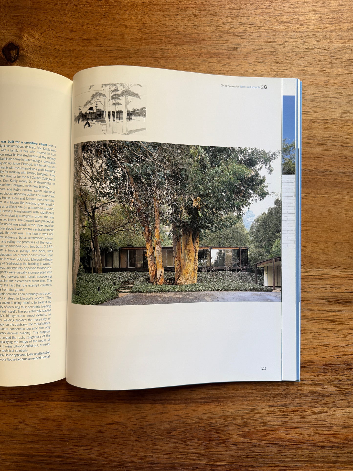 Craig Ellwood: 15 Houses