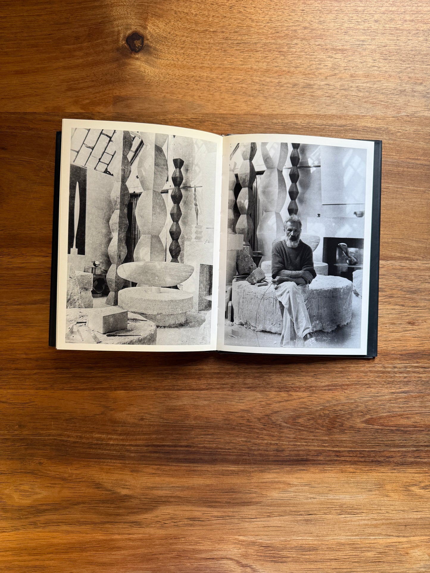 Brancusi Photographe