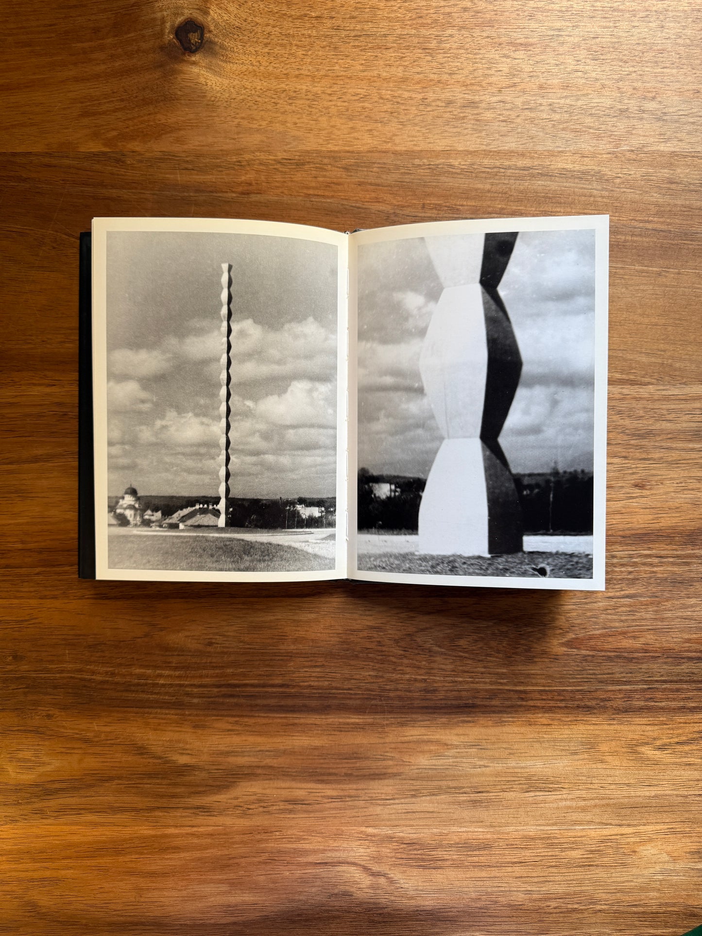 Brancusi Photographe