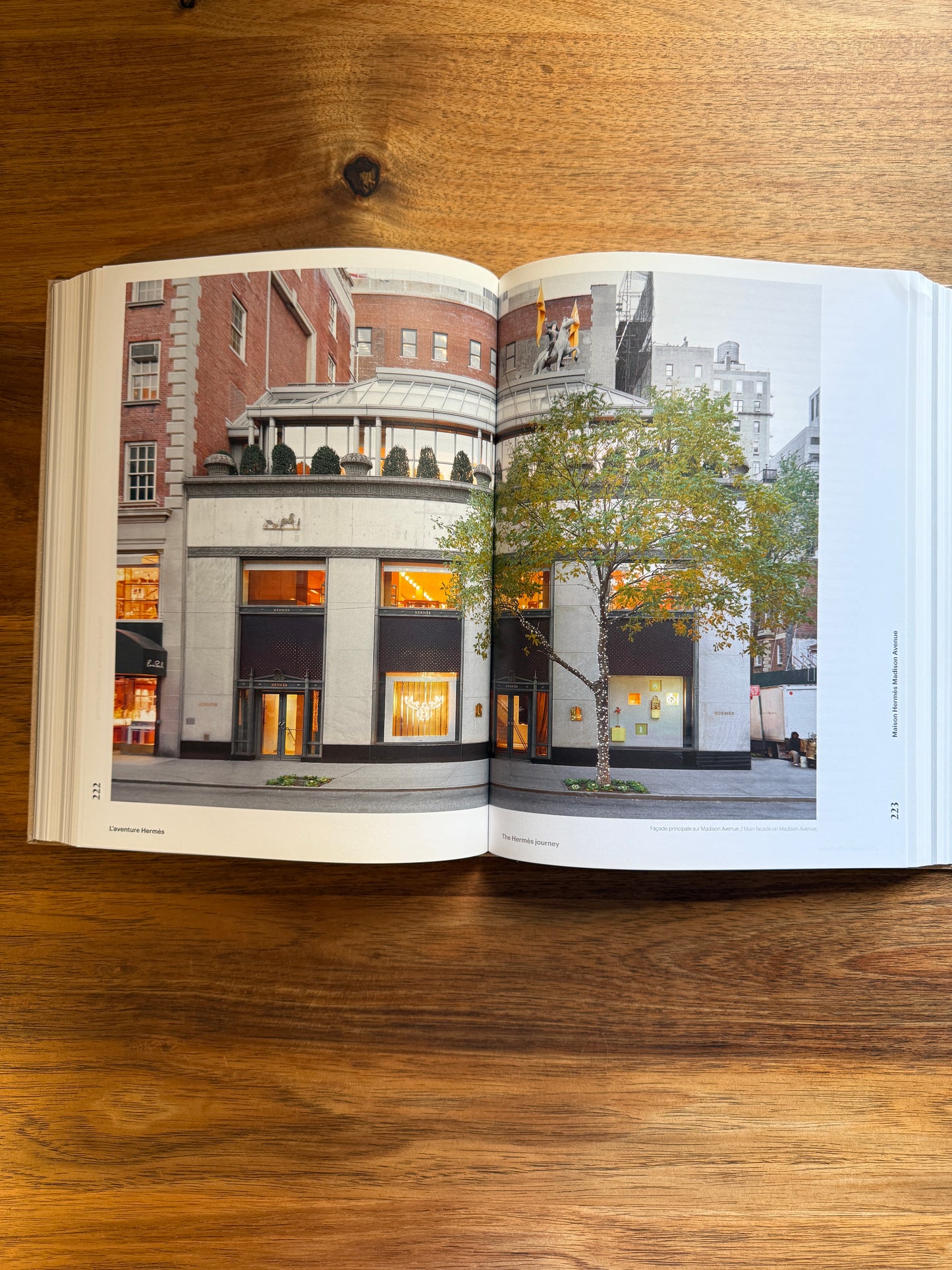 Rena Dumas: An Interior Architecture