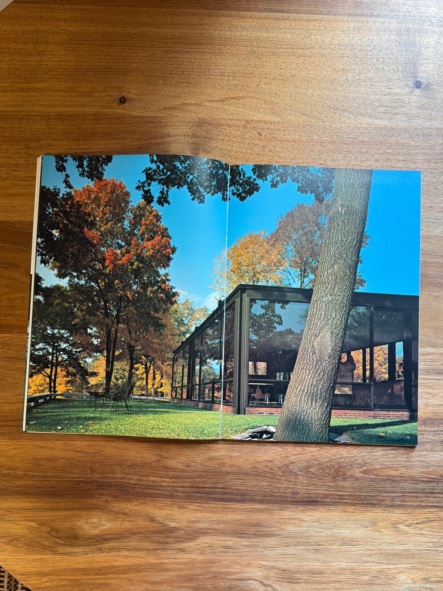 Johnson House (Glass House). Global Architecture GA12