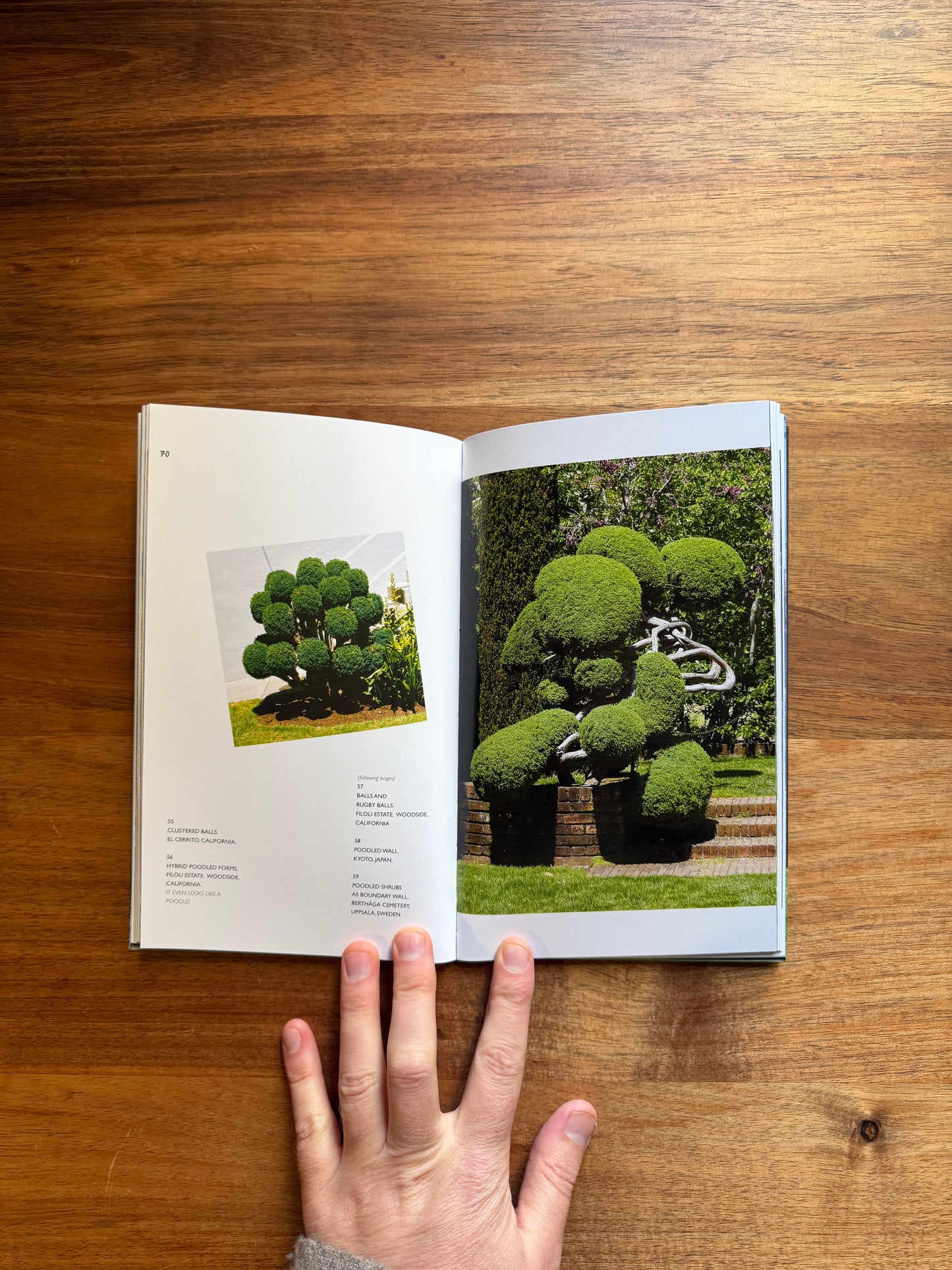Poodling: On the Just Shaping of Shrubbery
