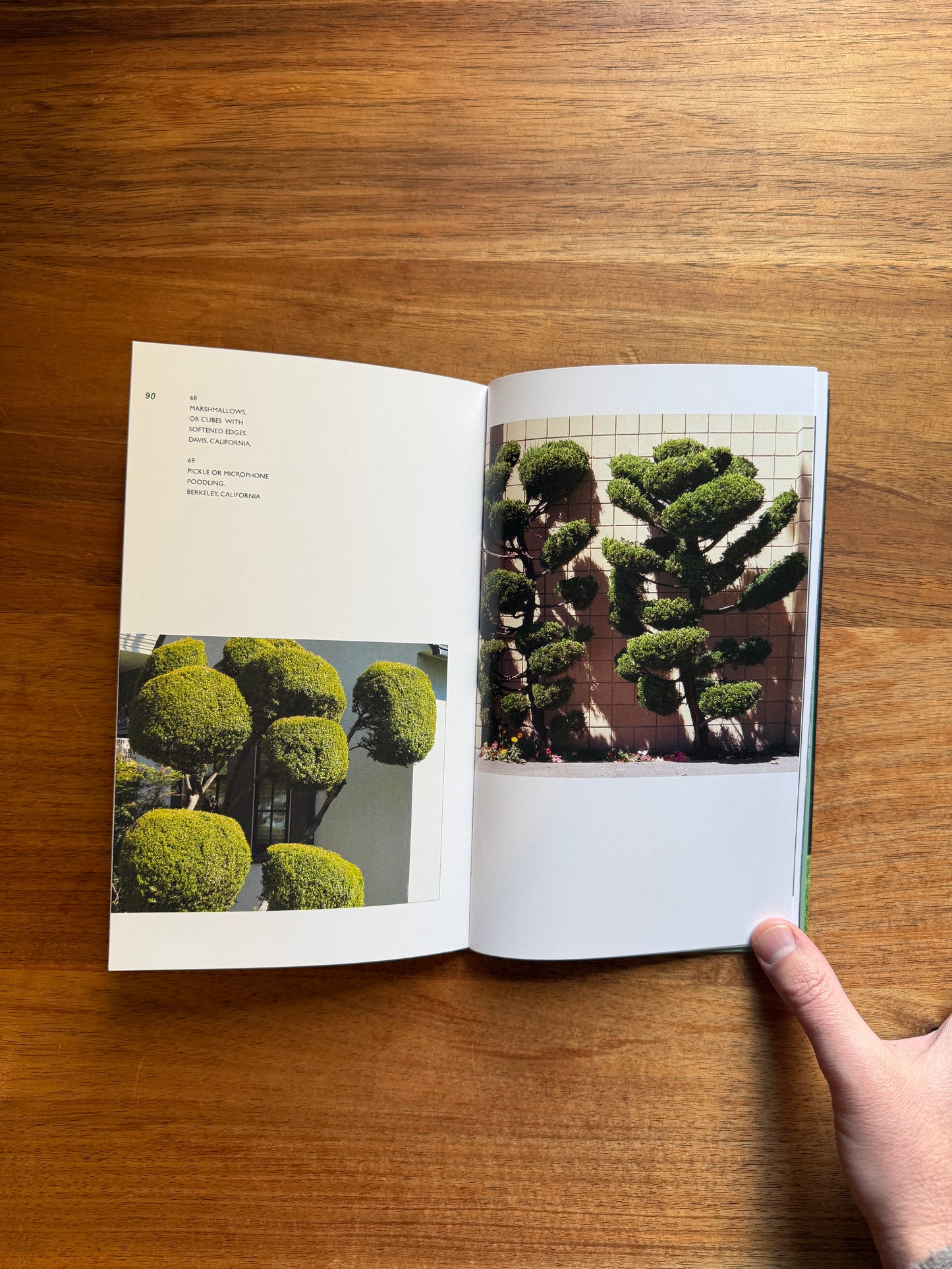 Poodling: On the Just Shaping of Shrubbery