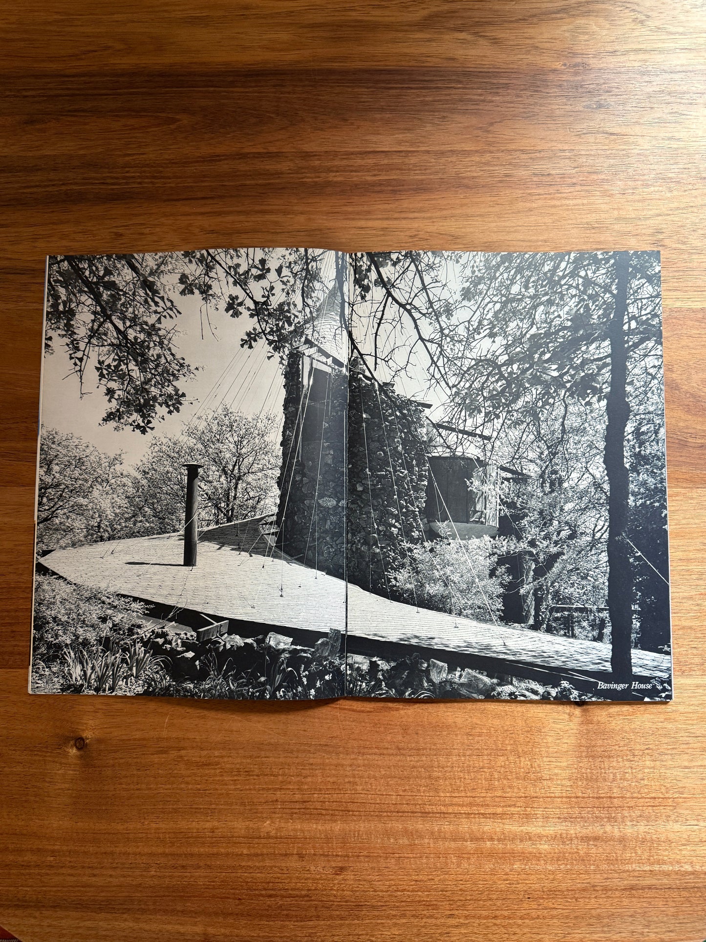 Bruce Goff. Global Architecture GA33