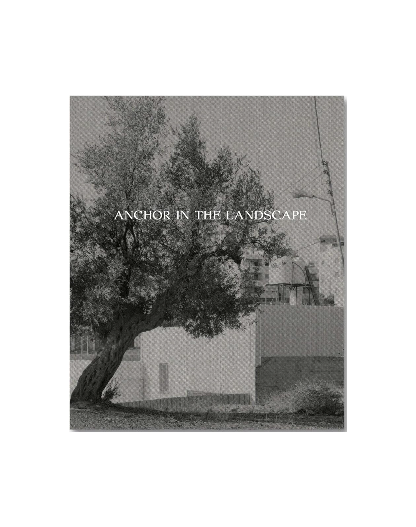 Anchor in the Landscape