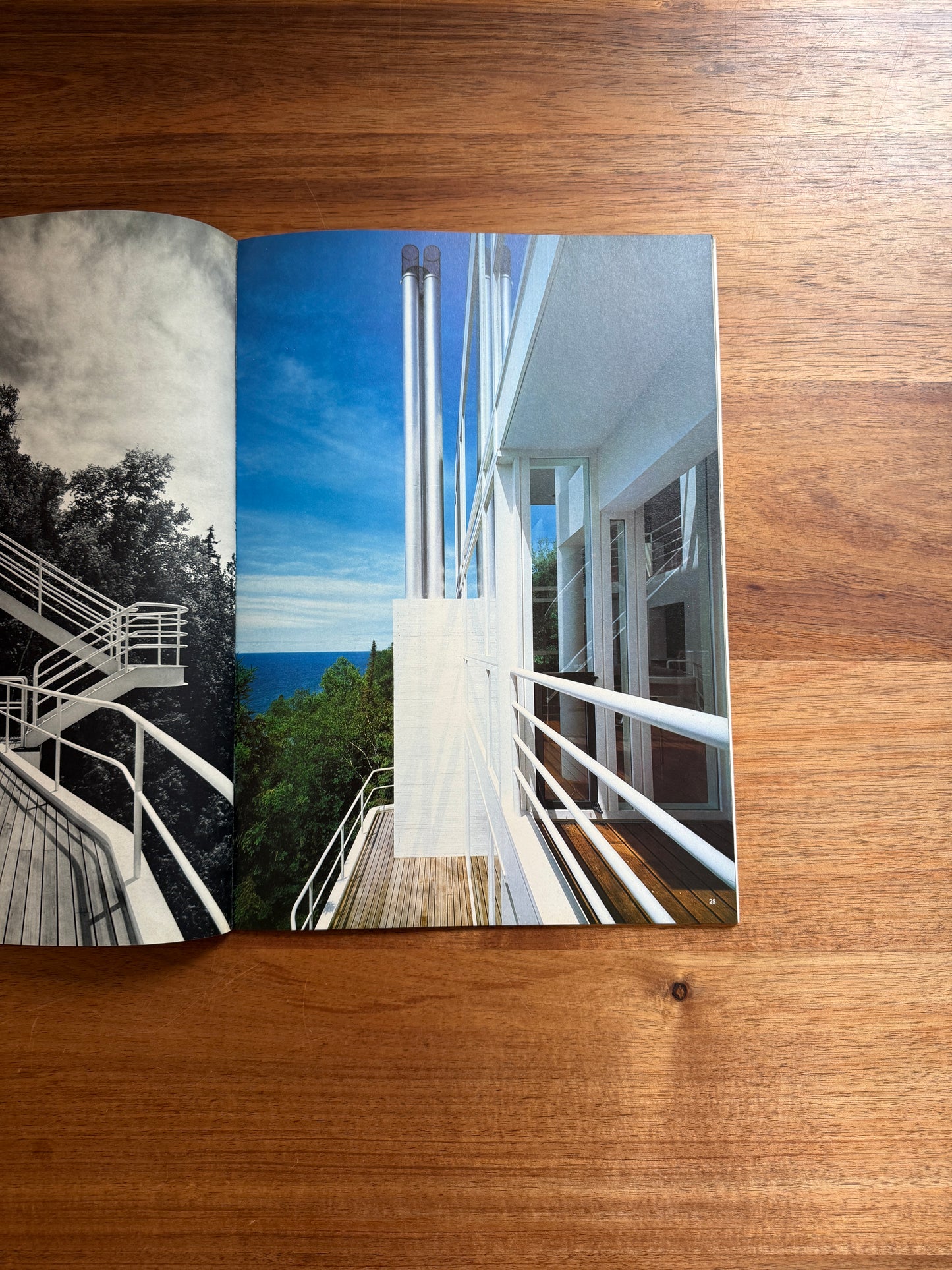 Richard Meier Douglas House