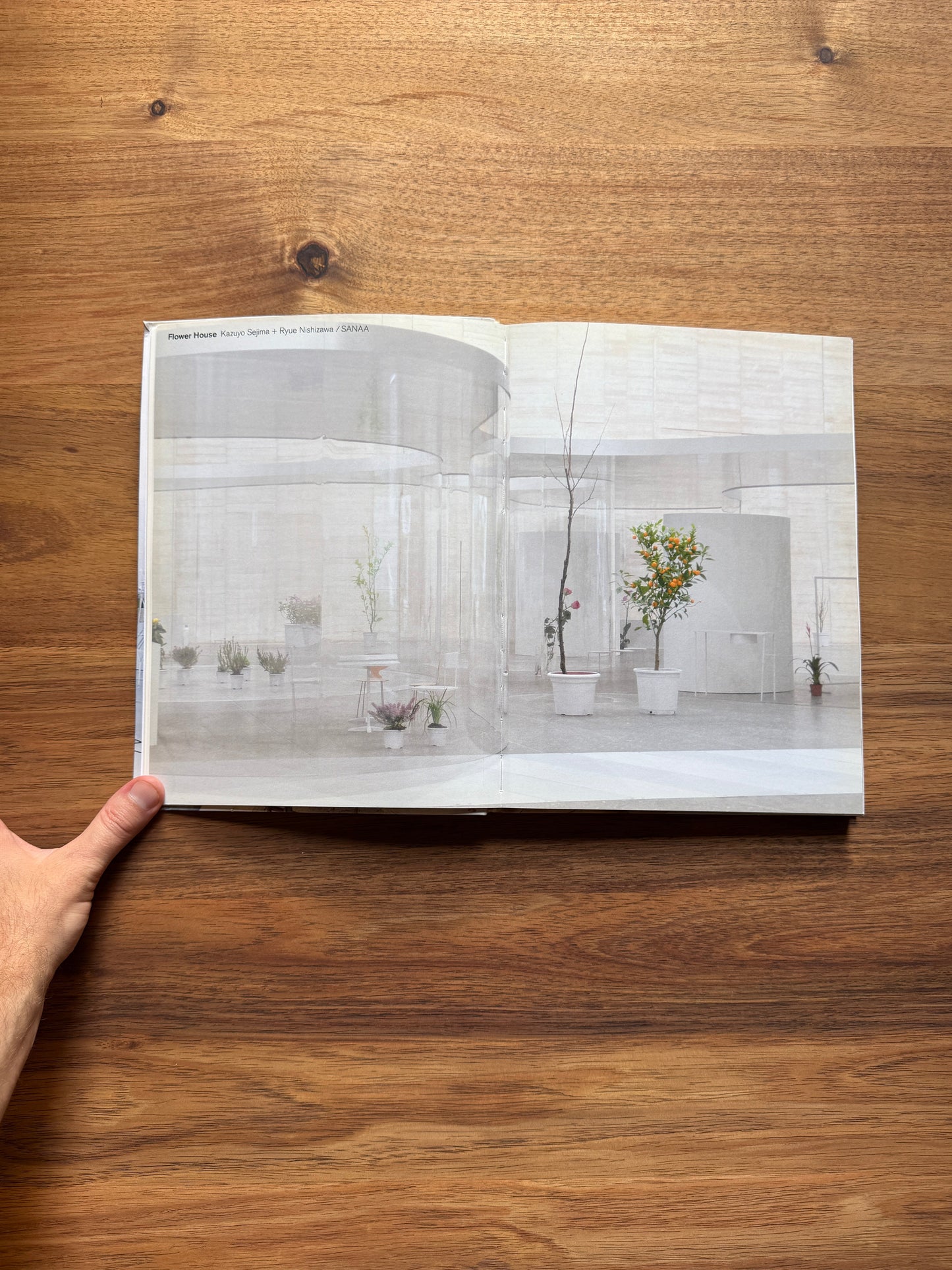 SANAA Houses: Kazuyo Sejima + Ryue Nishizawa