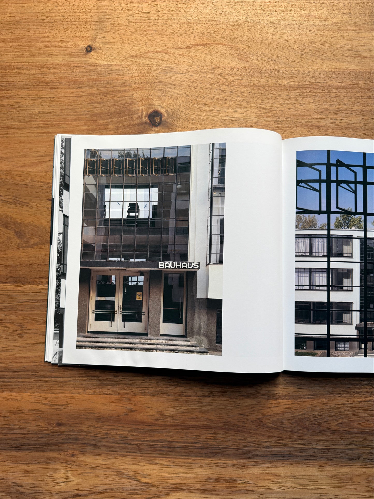 Bauhaus, Dessau: Walter Gropius