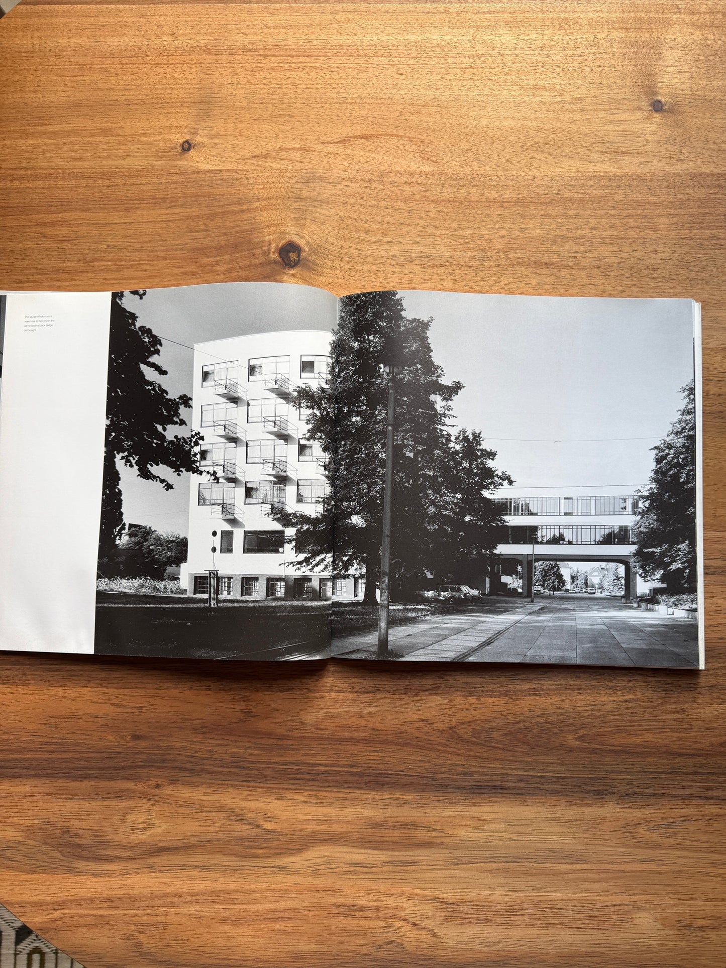 Bauhaus, Dessau: Walter Gropius