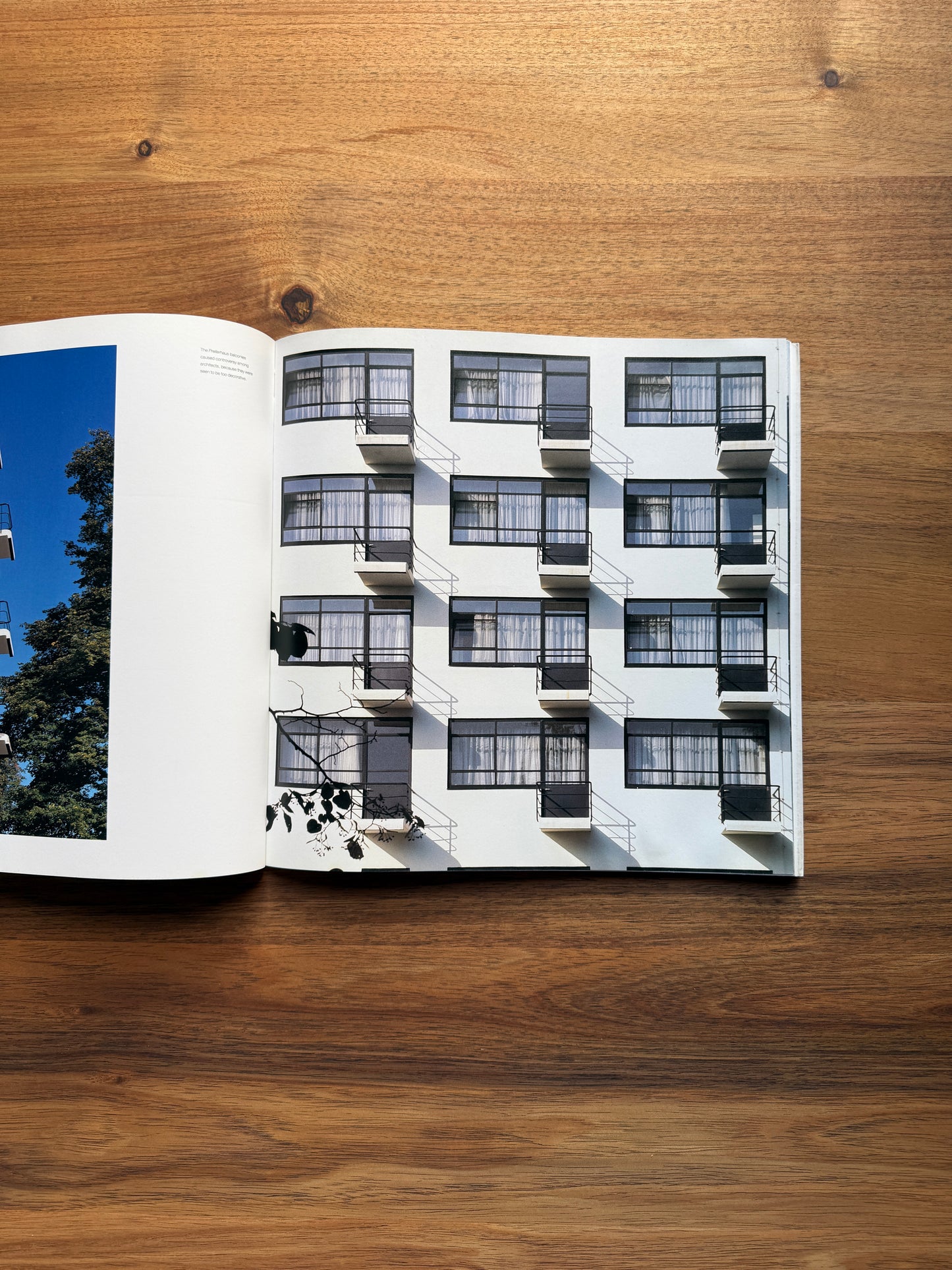 Bauhaus, Dessau: Walter Gropius