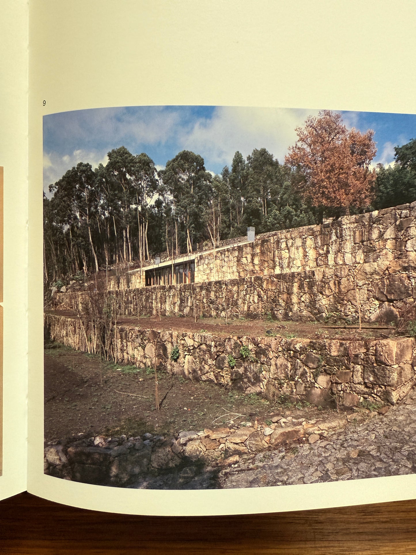 Souto de Moura: Memory, Projects, Works