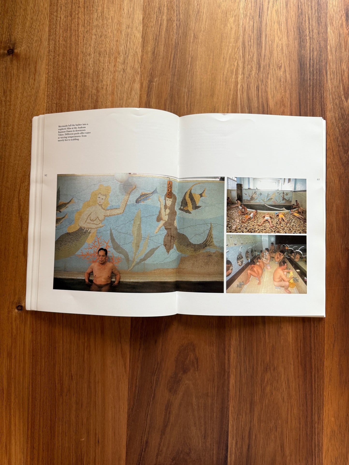 Pleasures of the Japanese Bath