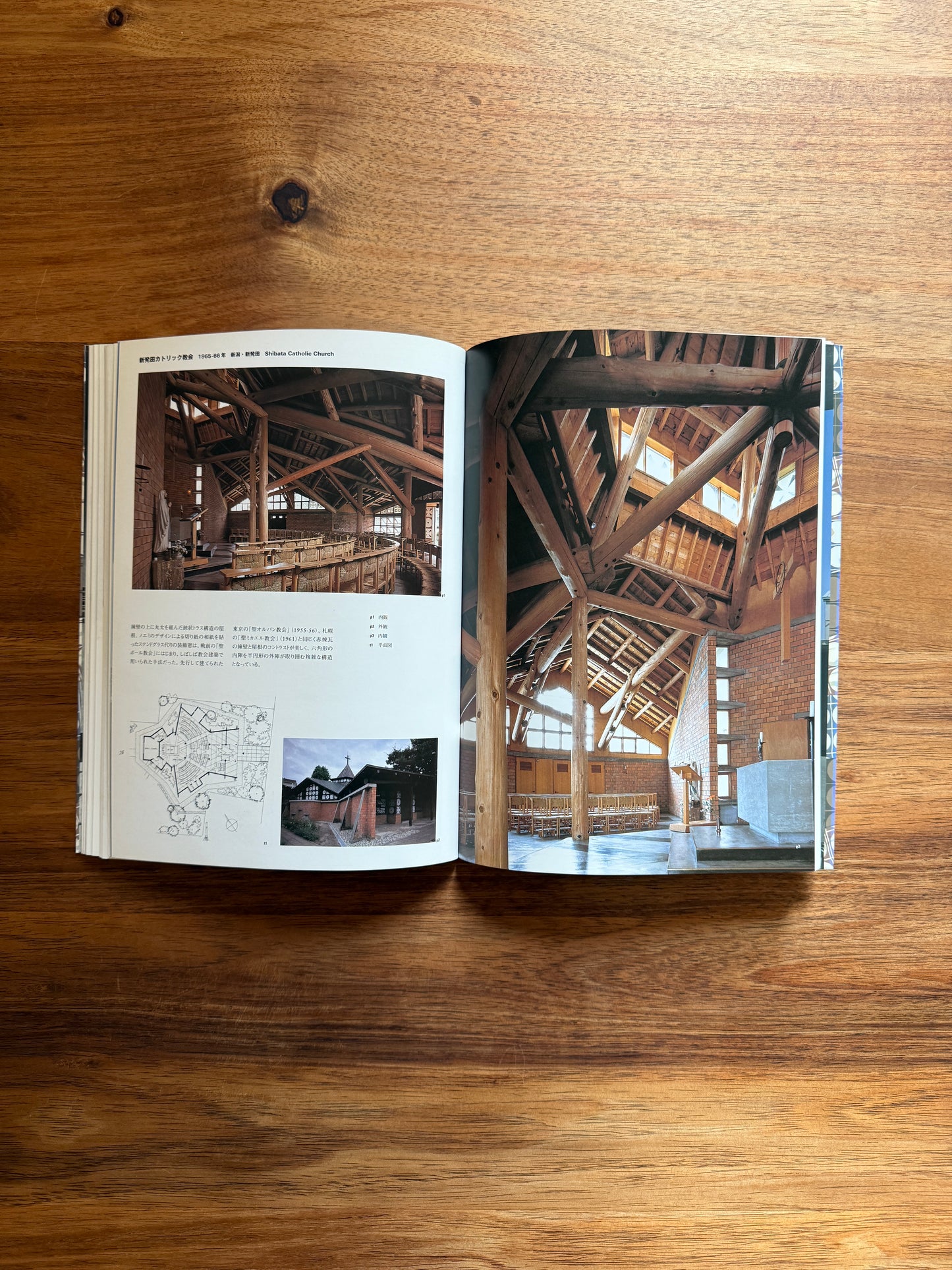 Crafting a Modern World: The Architecture and Design of Antonin and Noemi Raymond (Catalogue)