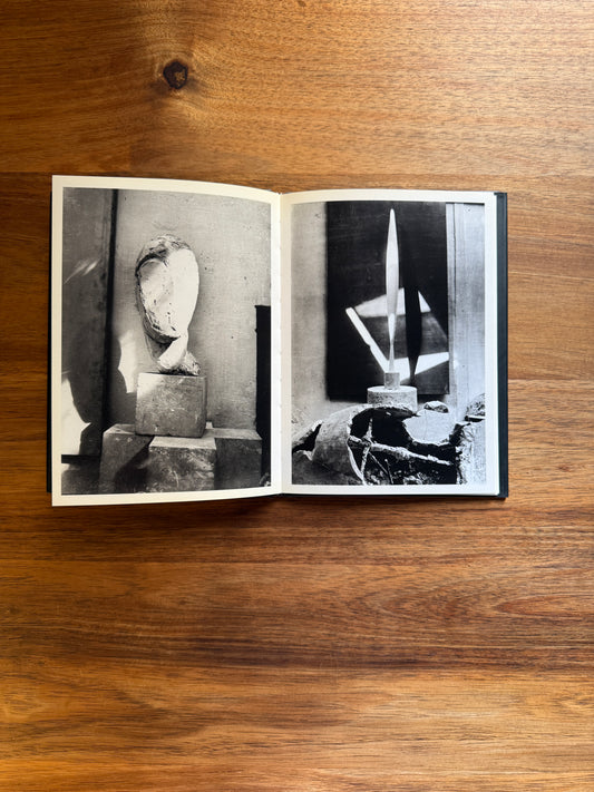 Brancusi Photographe