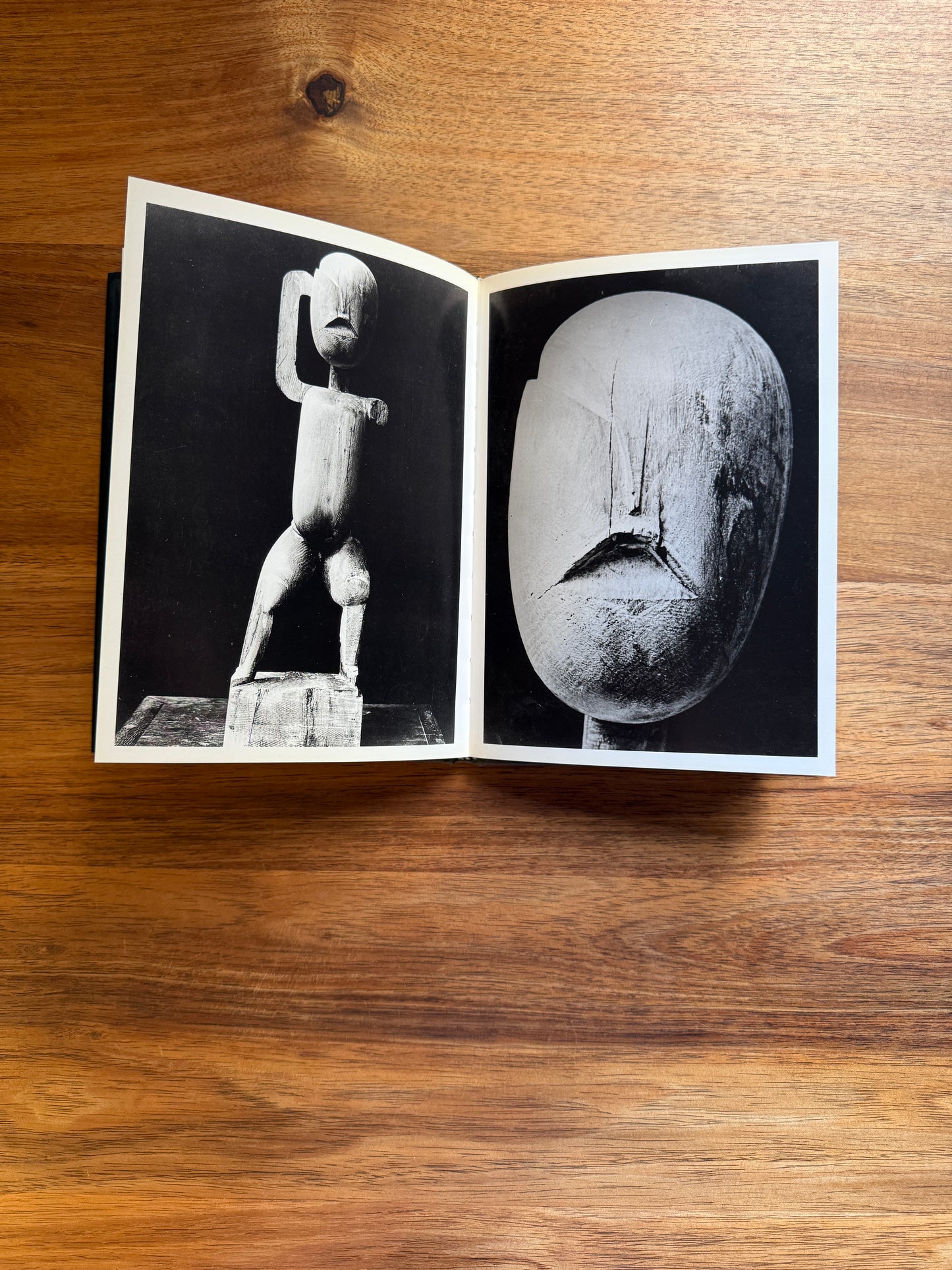 Brancusi Photographe