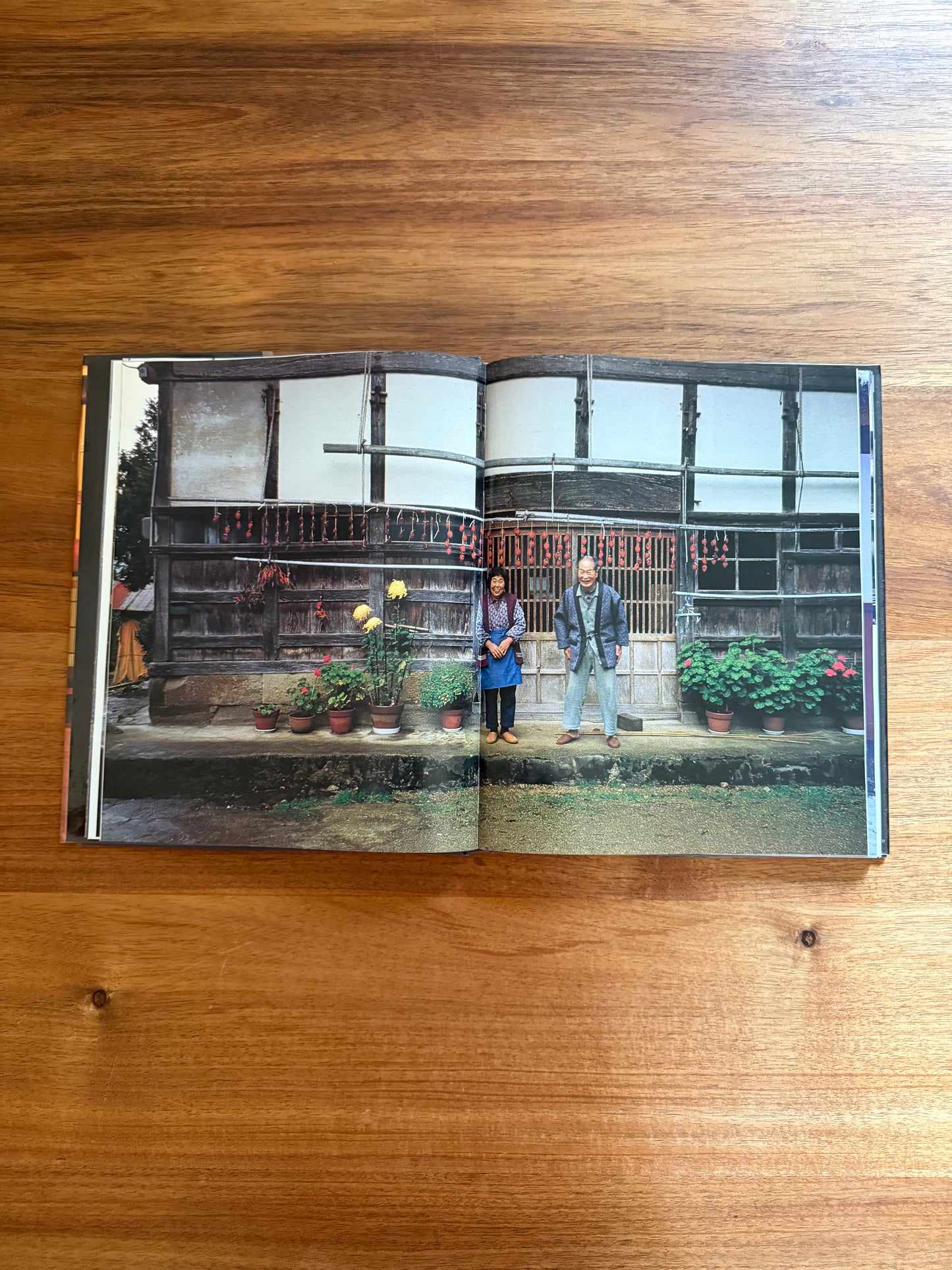 Japan Country Living