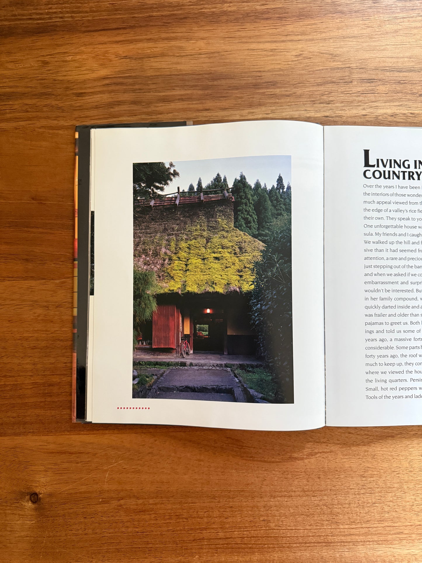 Japan Country Living