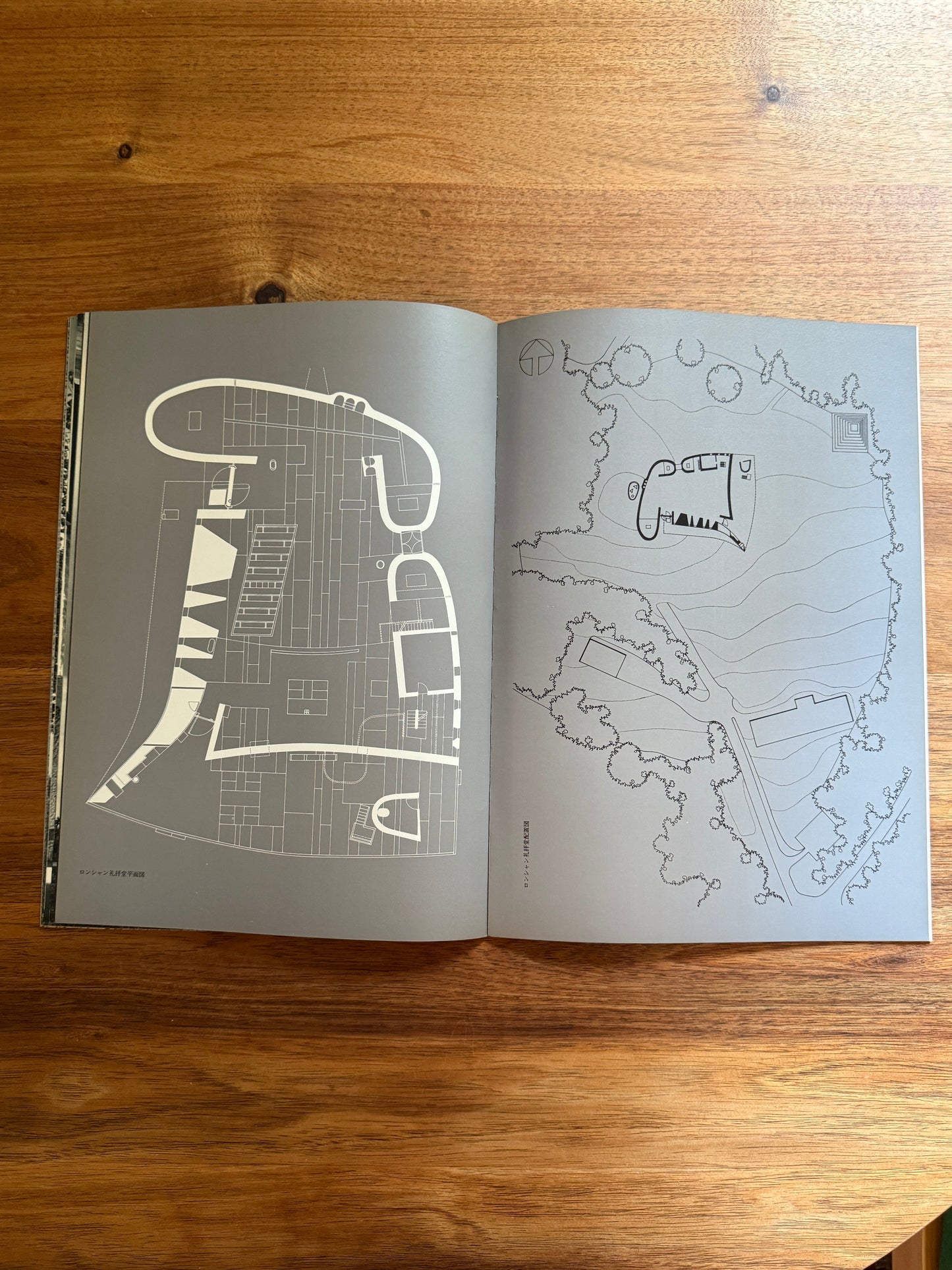 Le Corbusier Chapelle Ronchamp. Global Architecture GA7