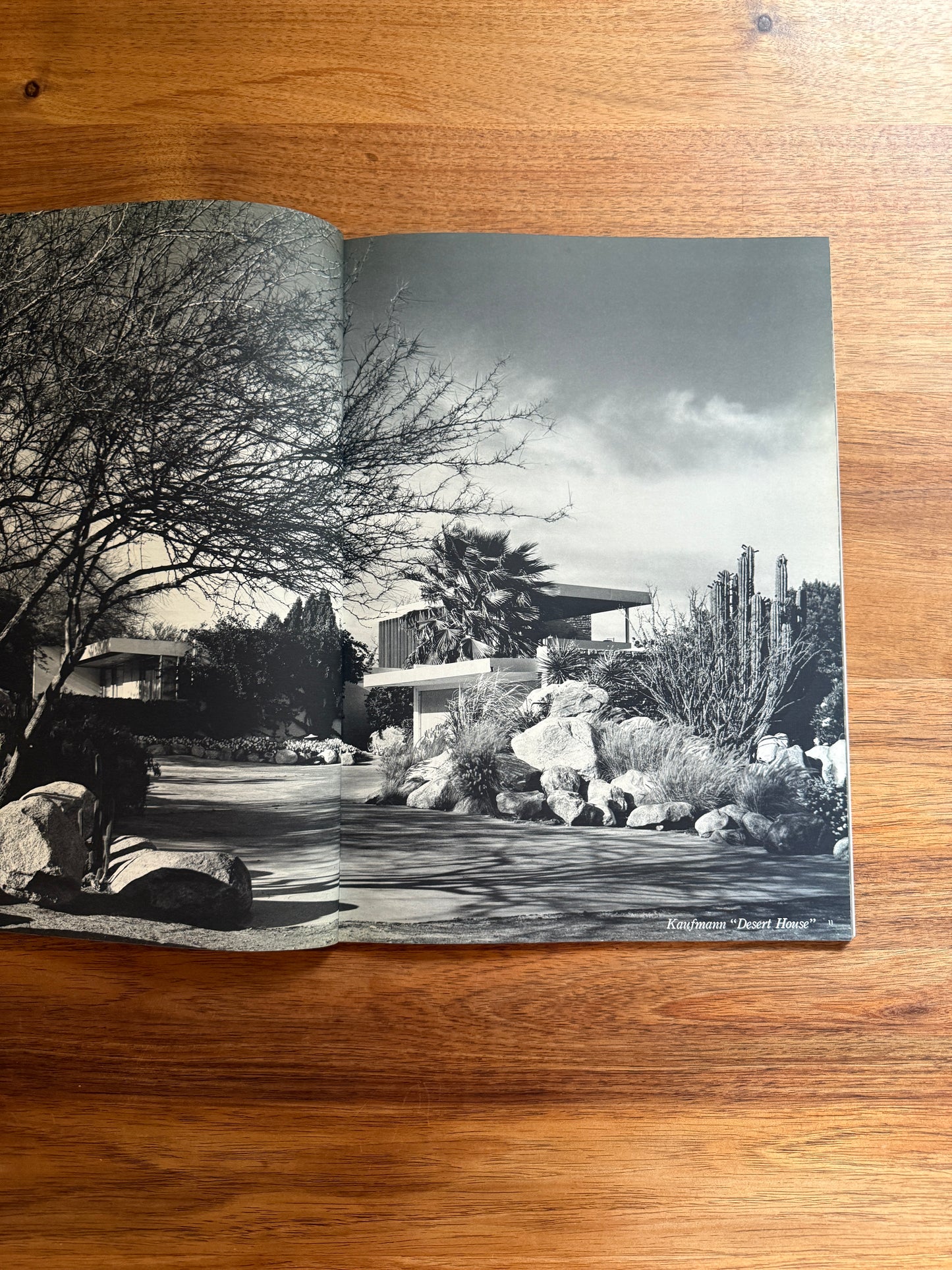 Richard Neutra Kaufmann and Tremaine Houses. Global Architecture GA8